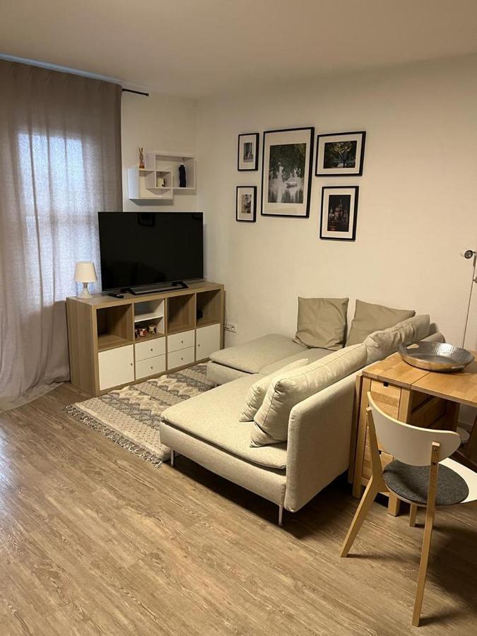 1 Zimmer Wohnung Mit Der Terrasse In Der Innenstadt Wiesbaden Luaran gambar